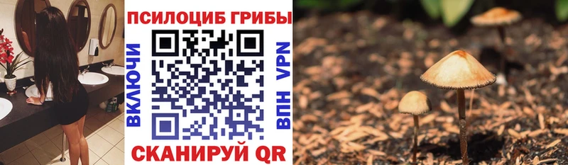 цена   Надым  Псилоцибиновые грибы MAGIC MUSHROOMS 